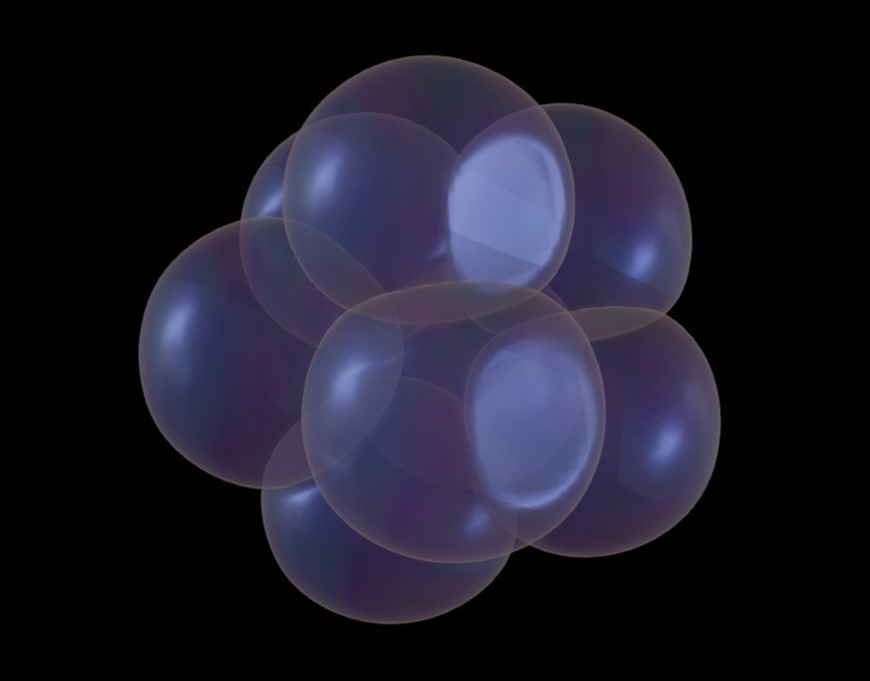 Early mouse embryo: 8-cell stage