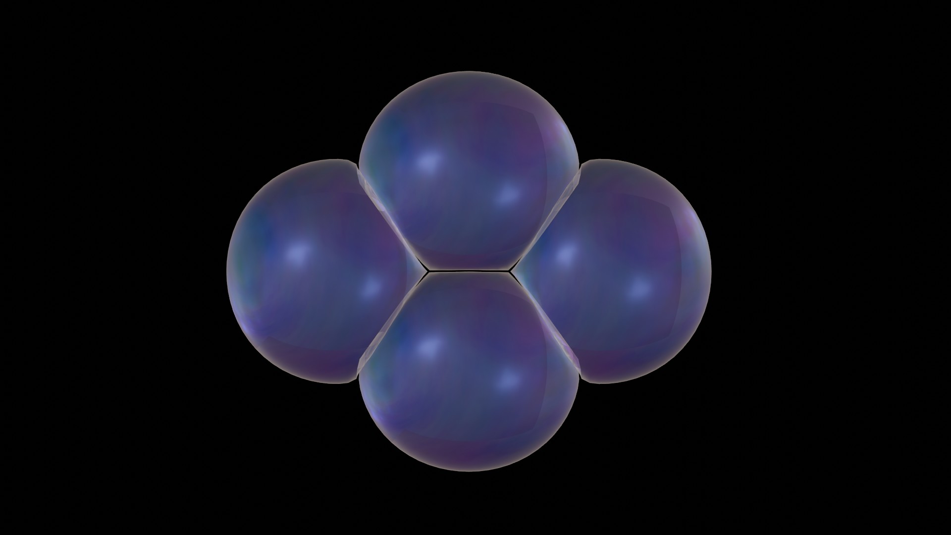 Early C. elegans embryo: 4-cell stage