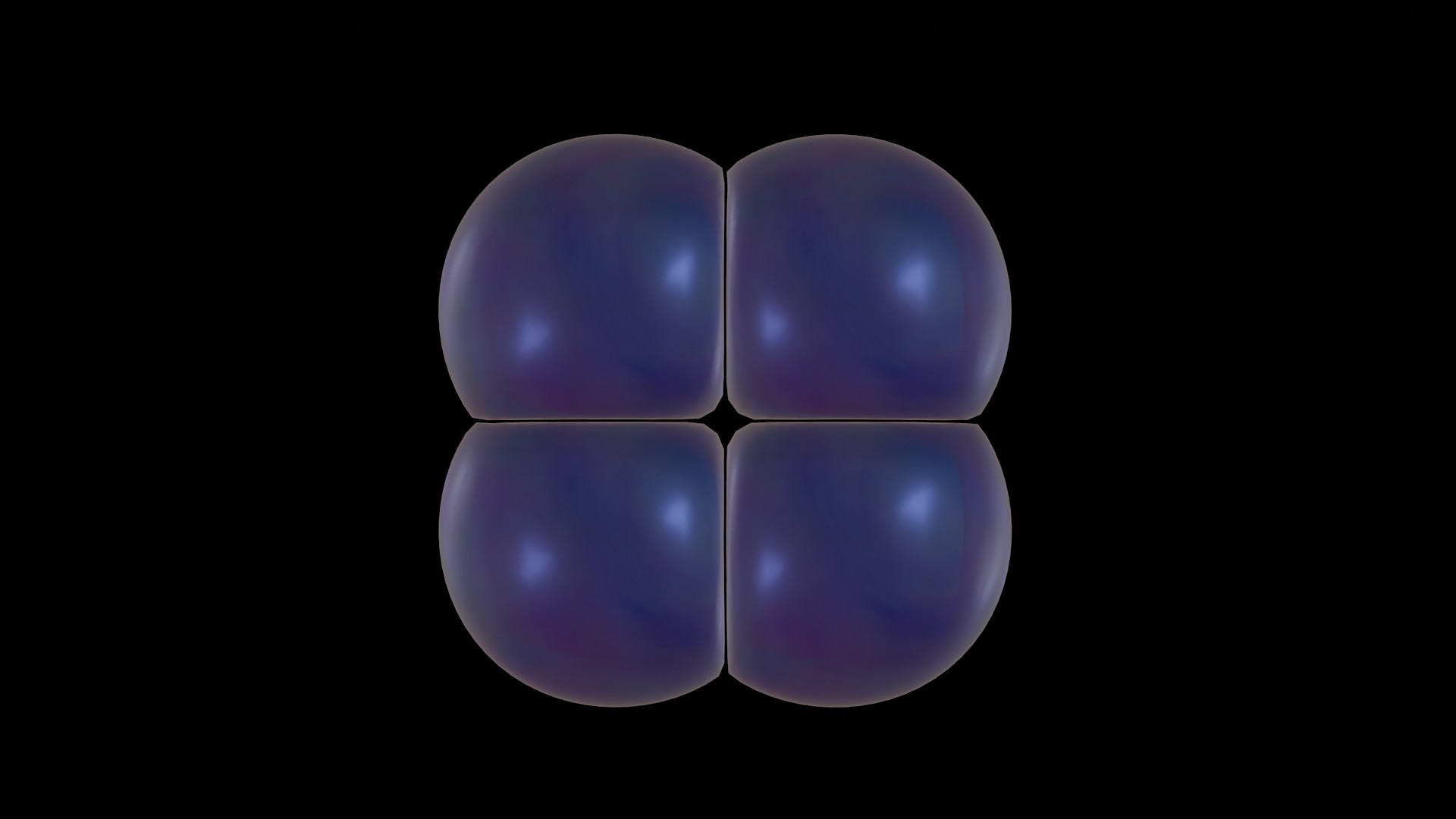 Early see urchin embryo: 4-cell stage